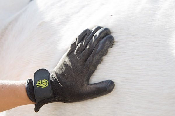 HandsOn Gloves Putzhandschuh M