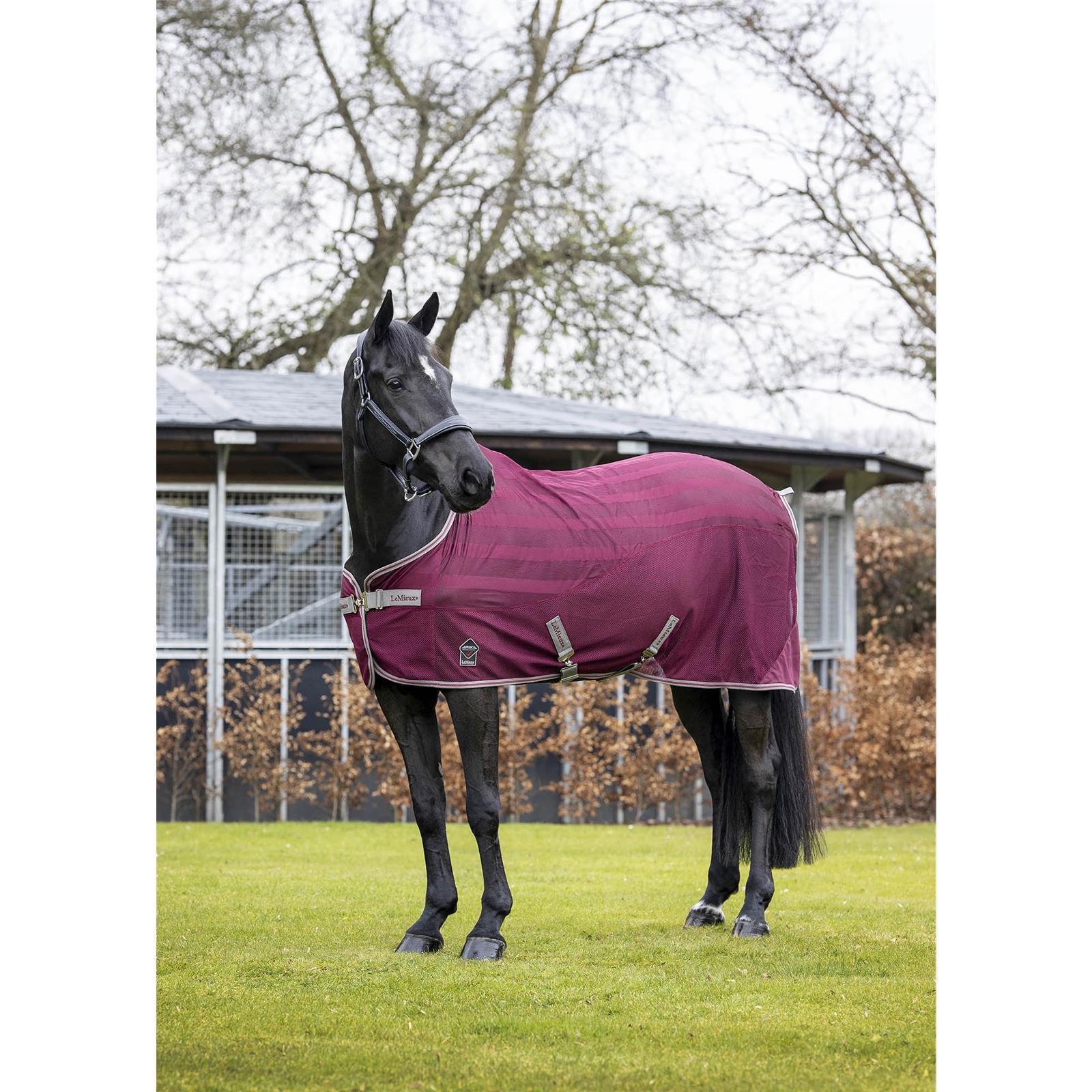 LeMieux Arika Air-Tek Rug Fliegendecke Burgundy (215)
