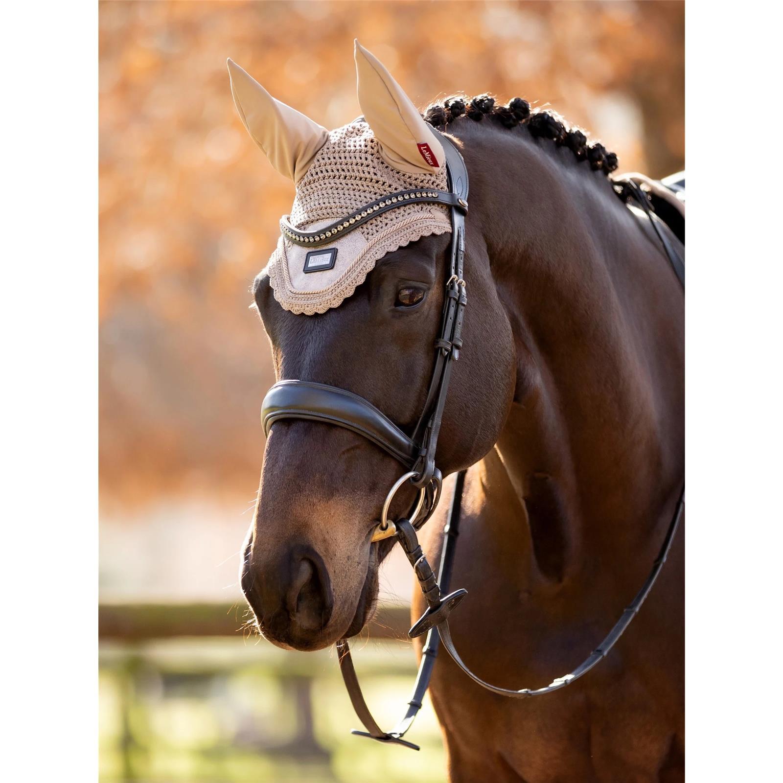 LeMieux Rhone Fly Hood Prosecco L