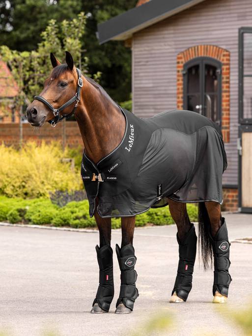 LeMieux Travel Boots (Set of 4) Transportgamaschen Black Full