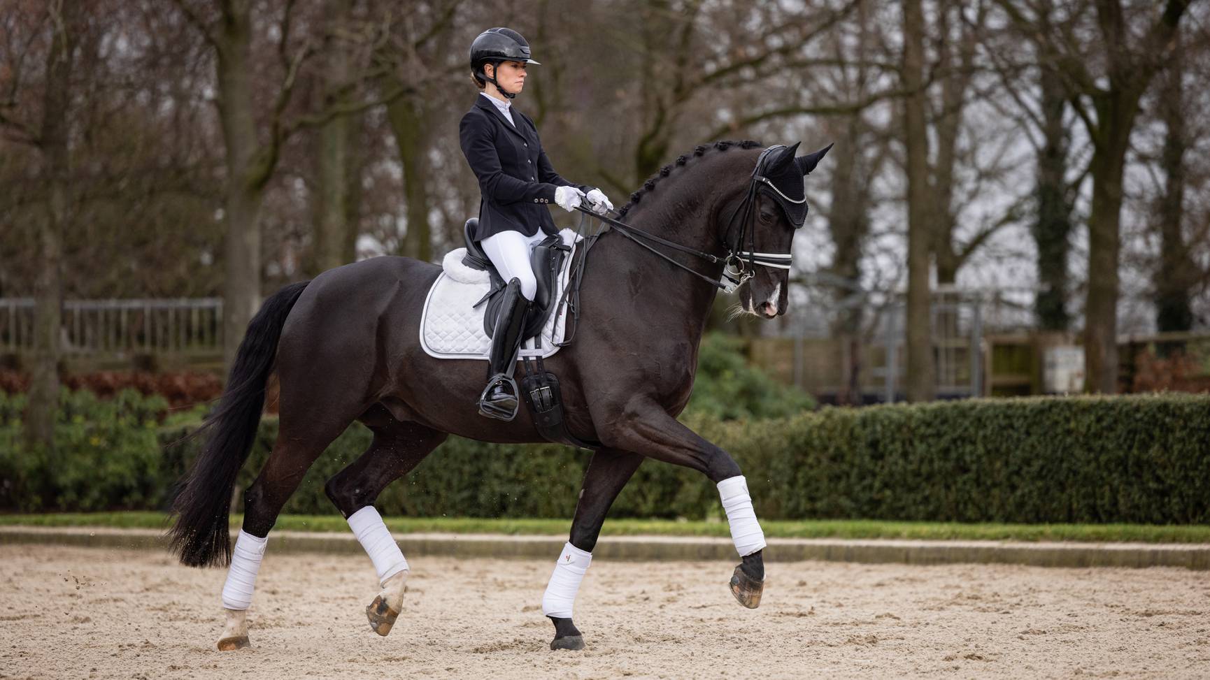 LeMieux Crystal Suede Dressage Square Schabracke White L