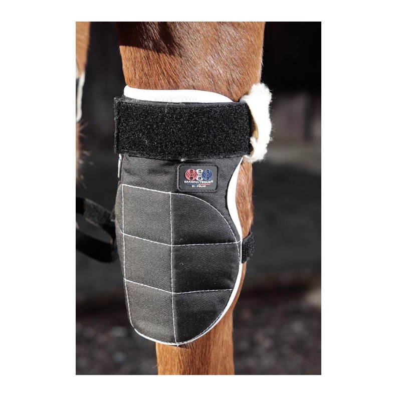 Premier Equine Therapiegamaschen Magni-Teque Magnetic Horse Knee Boots black One Size (14.3hh-17.2hh)