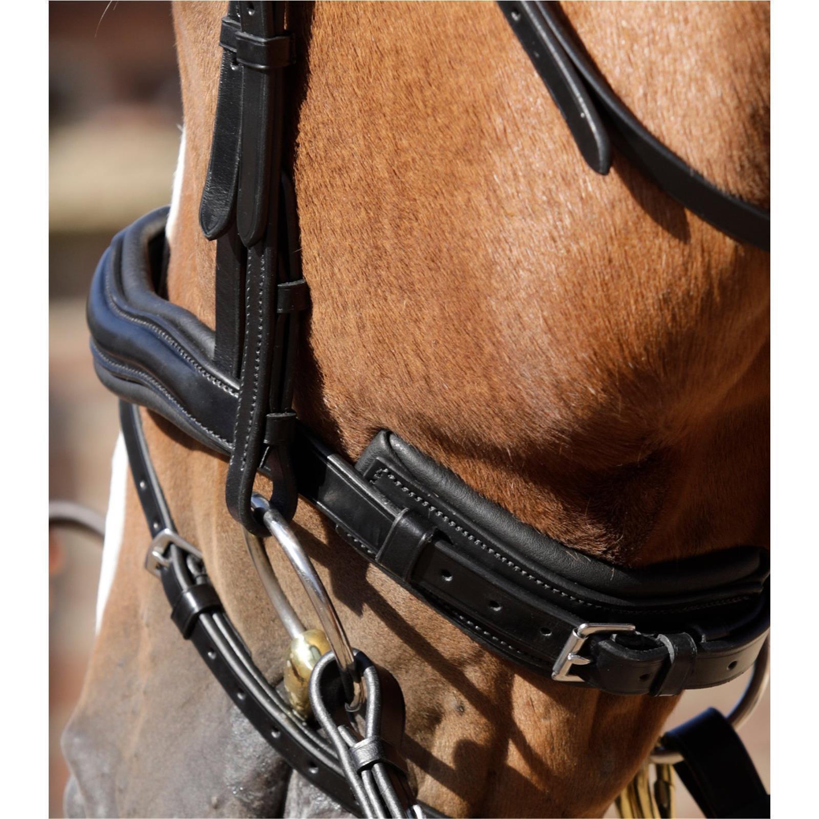 Premier Equine Rizzo Anatomic Snaffle Bridle englisch kombinierte Trense Full brown