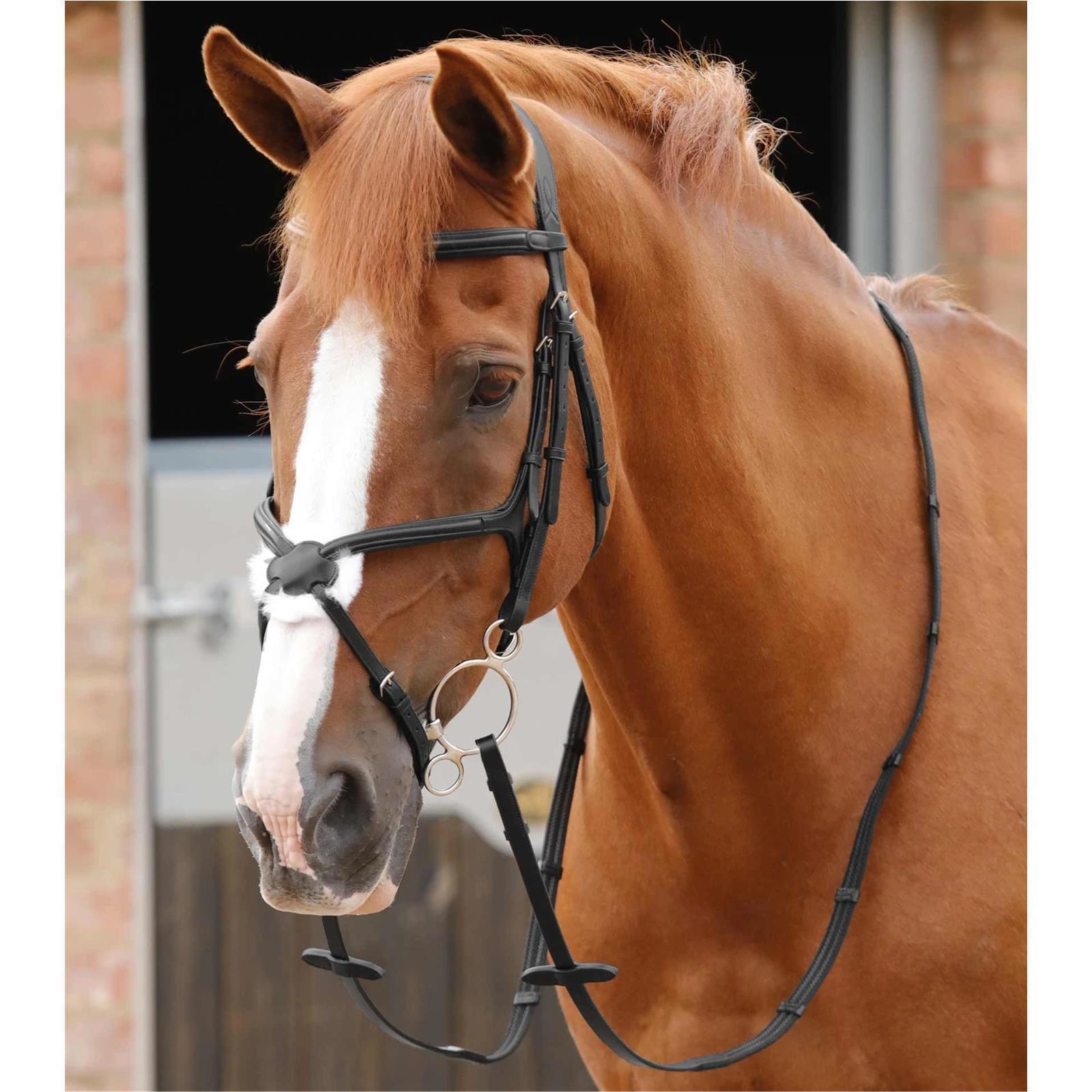 Premier Equine Domenico Web & Rubber Grip Reins Zügel gummiert brown