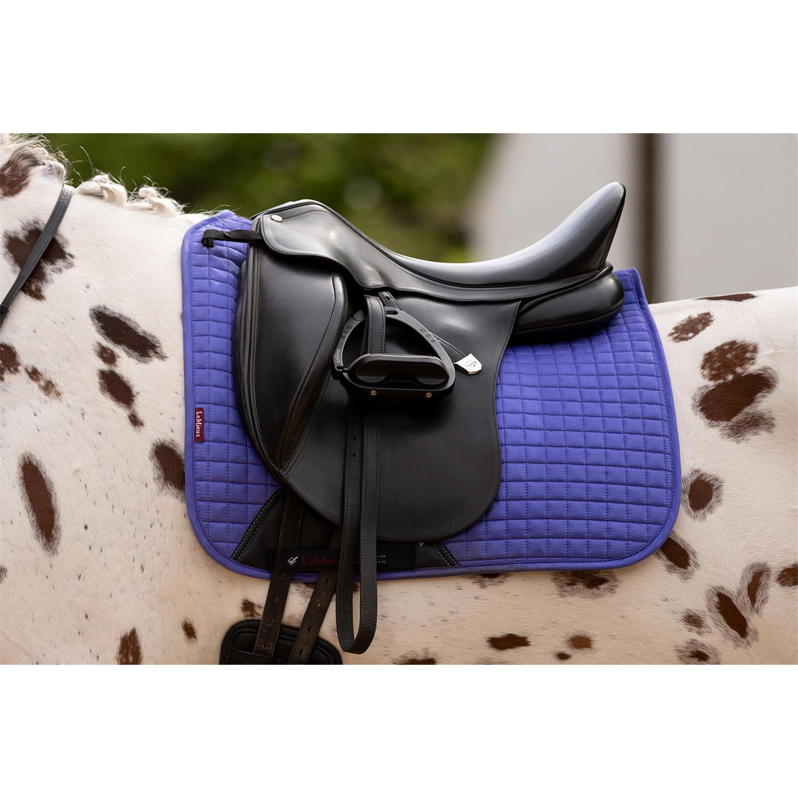 LeMieux Suede Dressage Square Schabracke Bluebell L