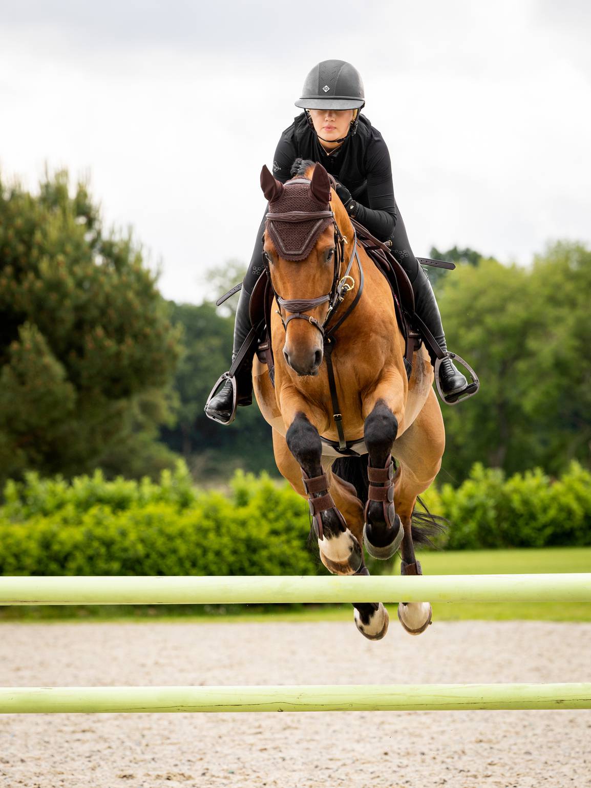 LeMieux Crystal Fly Hood Fliegenhaube Brown L