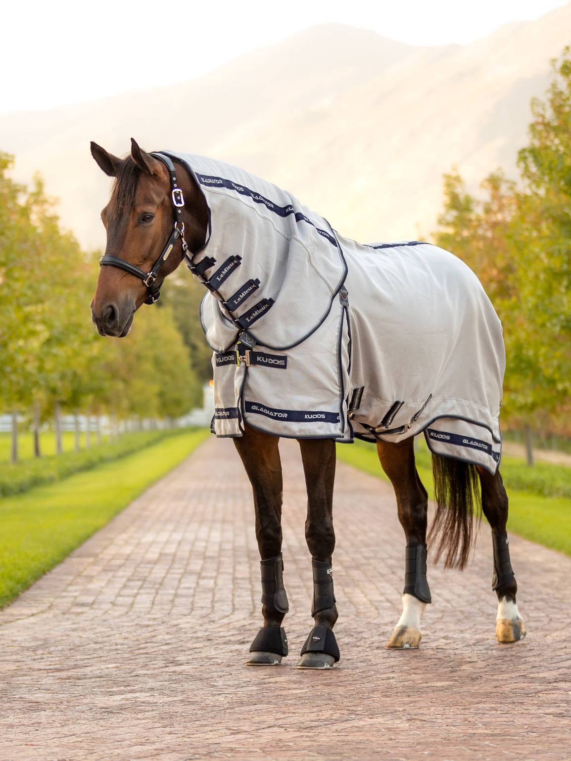 LeMieux Kudos Gladiator Fly Rug Fliegendecke 7,0" - 165 cm