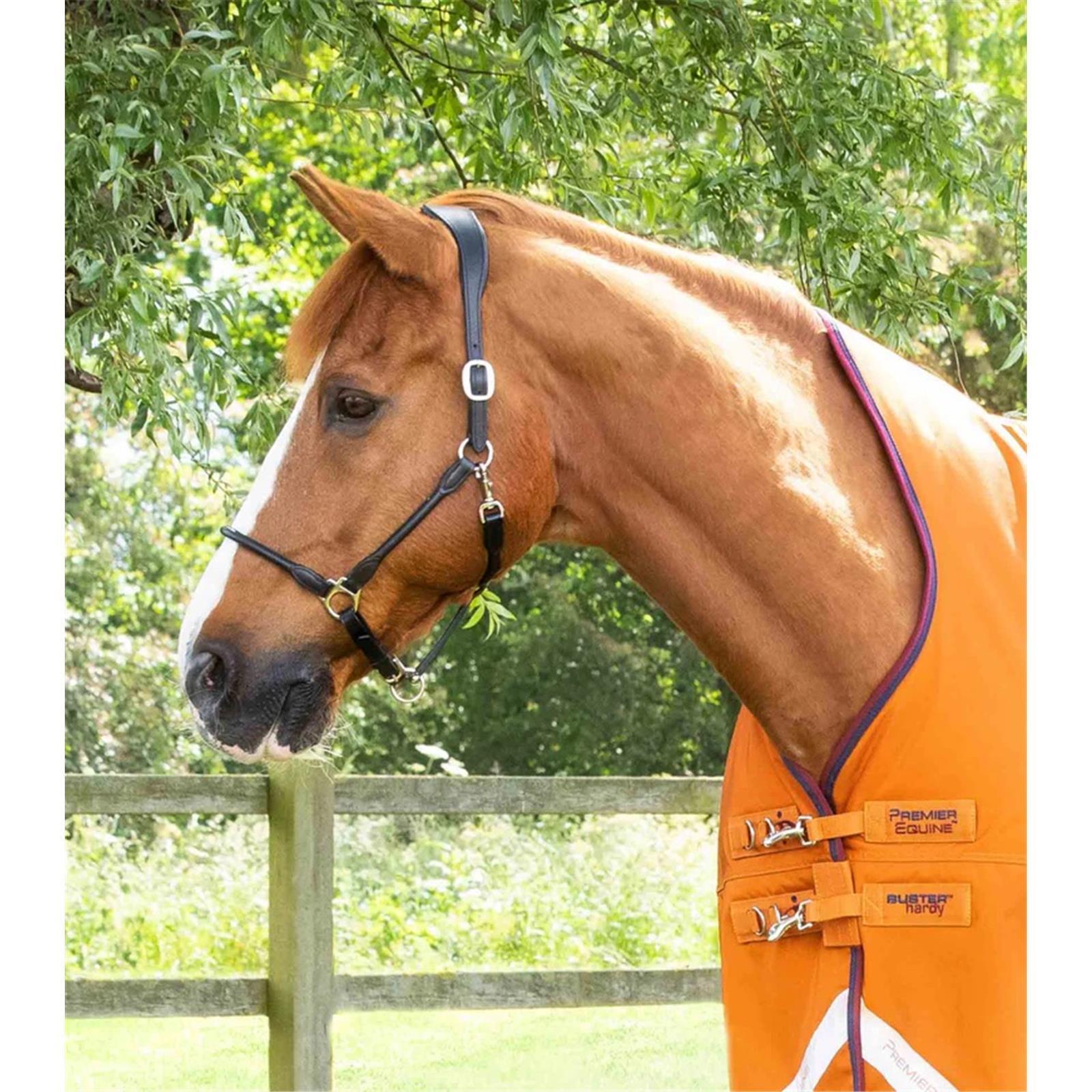 Premier Equine Buster Hardy 200g Half Neck Turnout Rug Orange 6´9 (Stockmaß 173 -178 cm)
