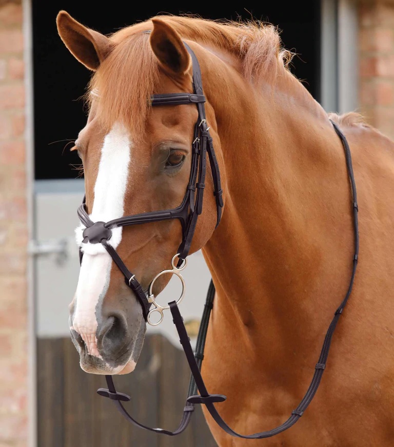 Premier Equine Domenico Web & Rubber Grip Reins Zügel gummiert brown