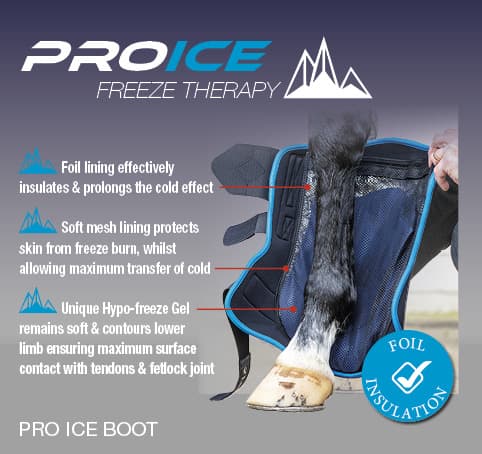 LeMieux ProIce Freeze Boots Kühlgamaschen L
