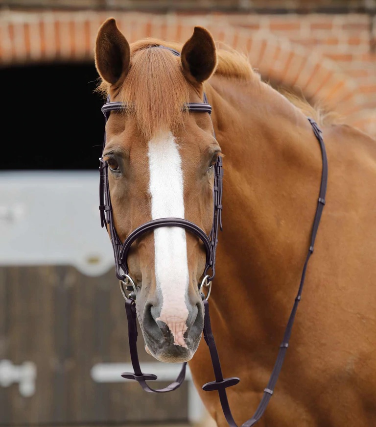 Premier Equine Caloveto Web Reins Gurtzügel mit Stege brown