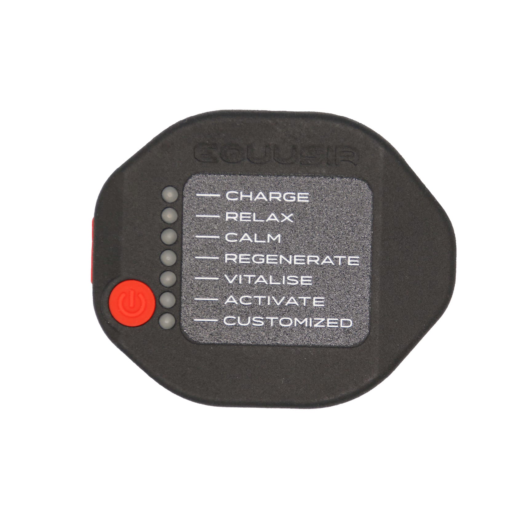 EQUUSIR BIOS Hundedecke Magnetfelddecke für deinen Hund L - 108 x 80 cm