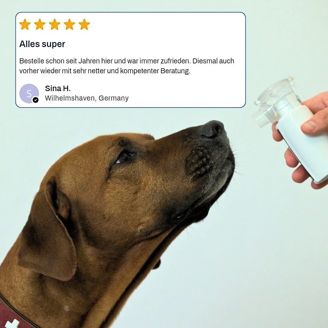 OxygenConcept Tote-Meer-Sole 2,5% Gebindegröße 1 liter