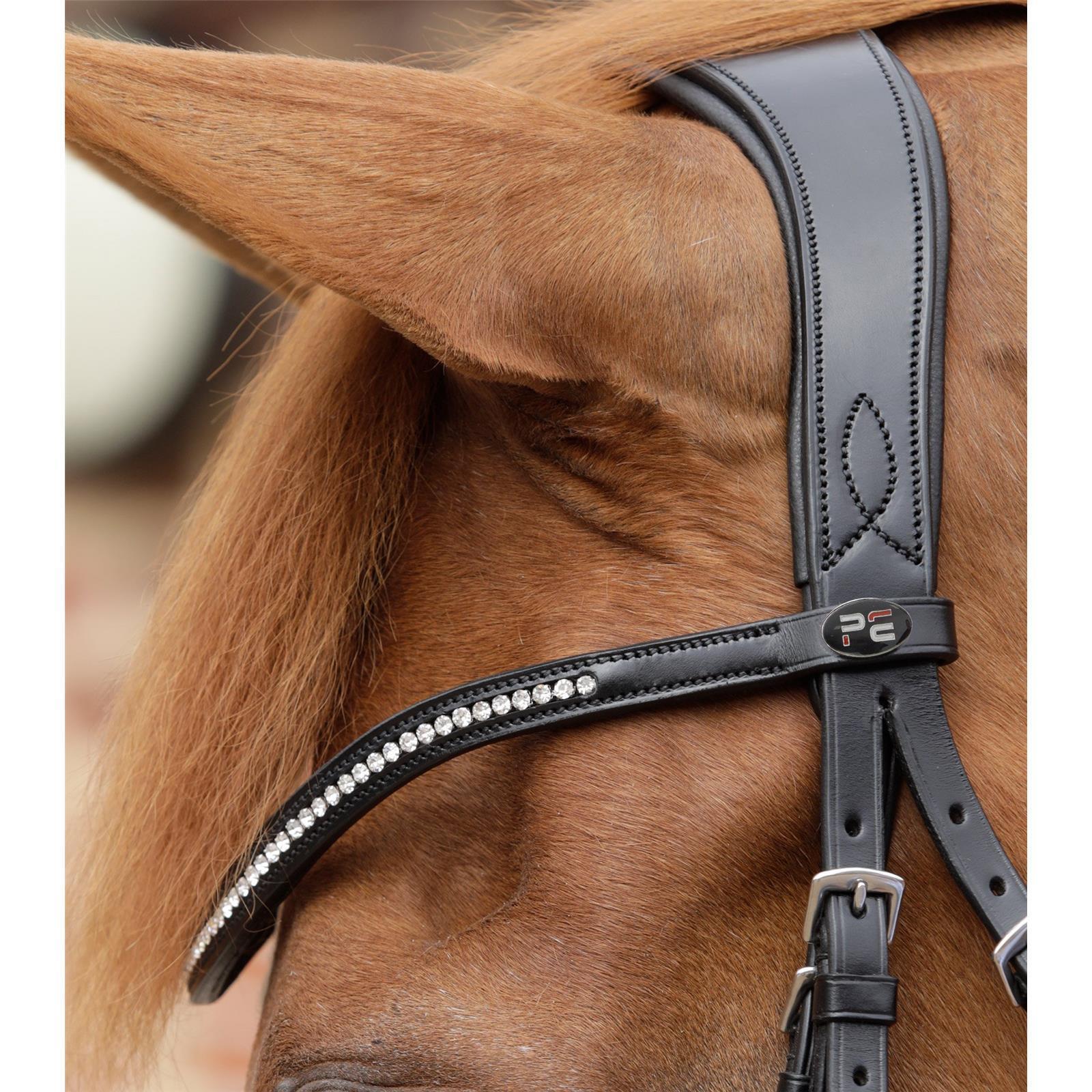 Premier Equine anatomische Trense Stellazio mit englischem Reithalfter Full black