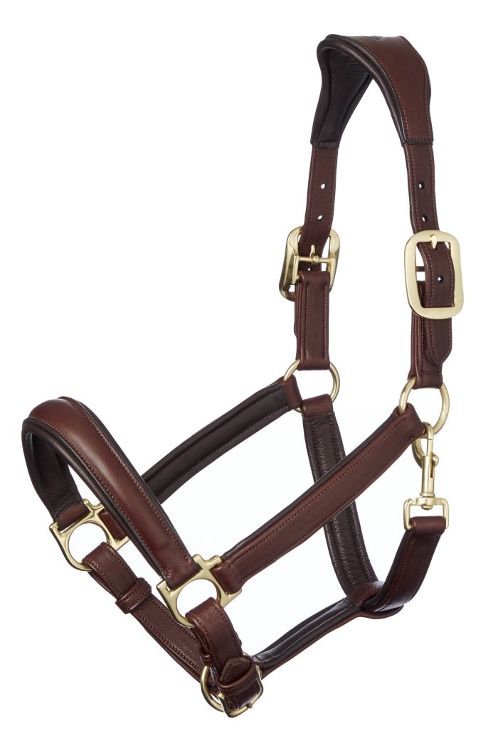 LeMieux Anatomic Headcollar Lederhalfter Brown Cob