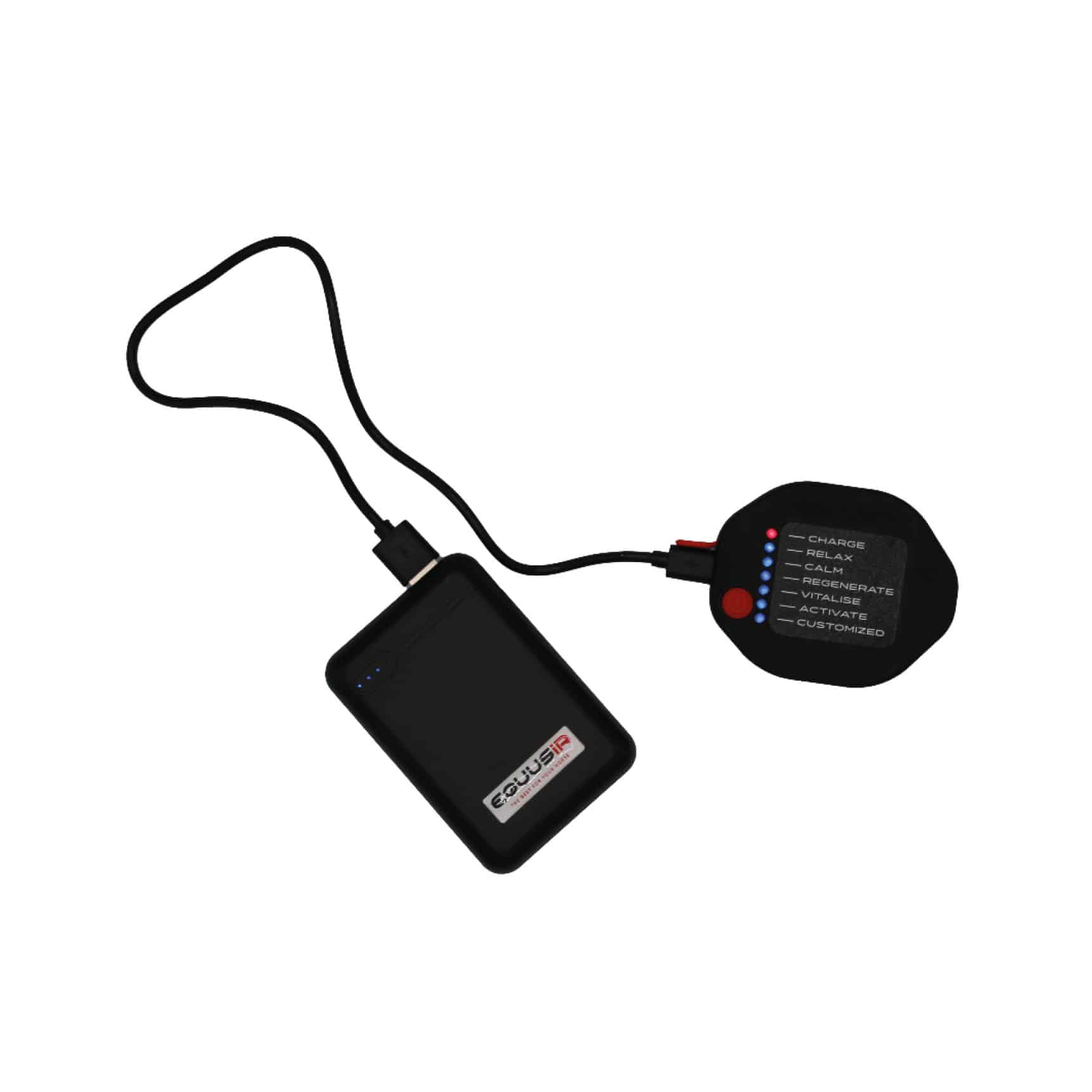 EQUUSIR BIOS Hundedecke Magnetfelddecke für deinen Hund L - 108 x 80 cm