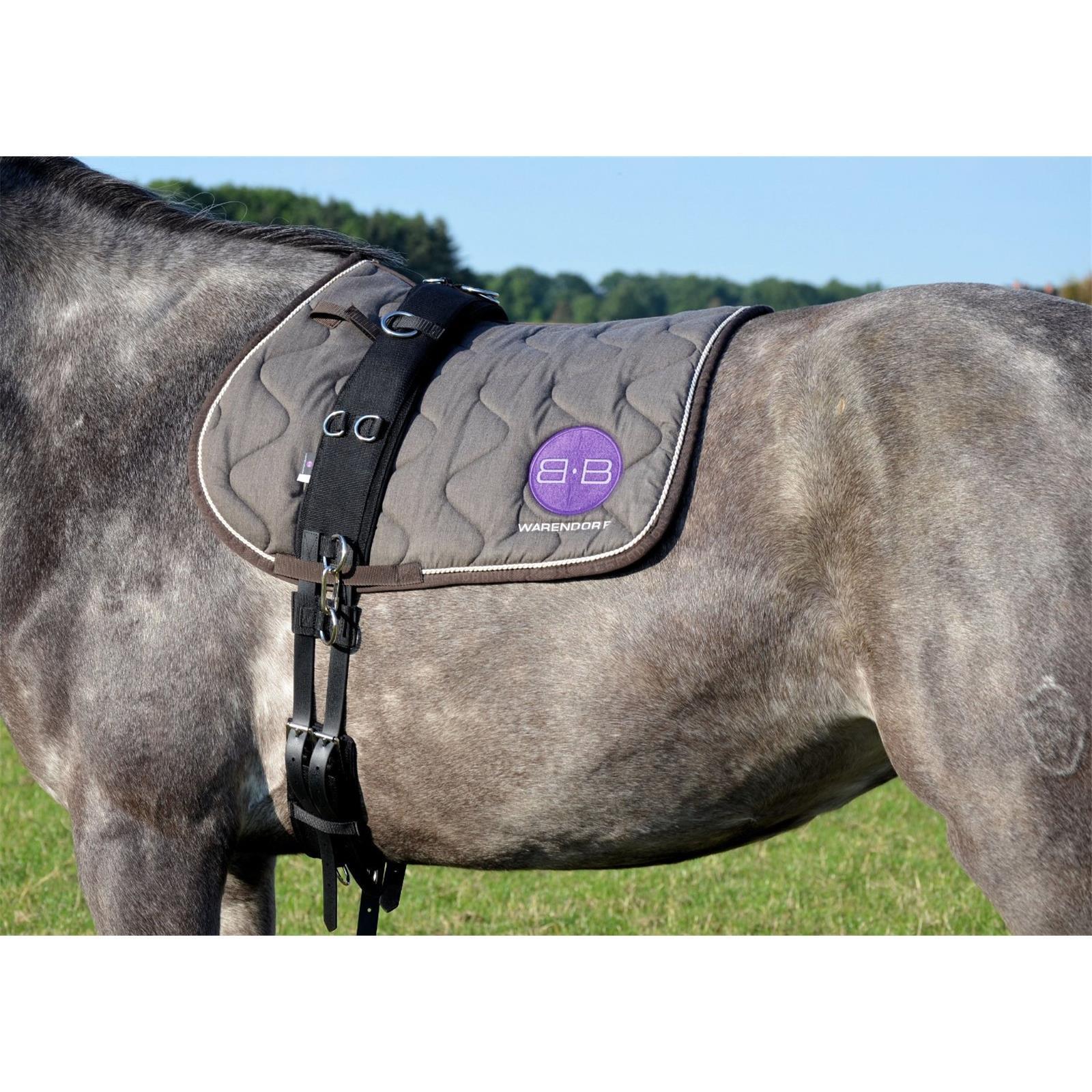 BB Warendorf Longiergurt Neopren Professional Pony