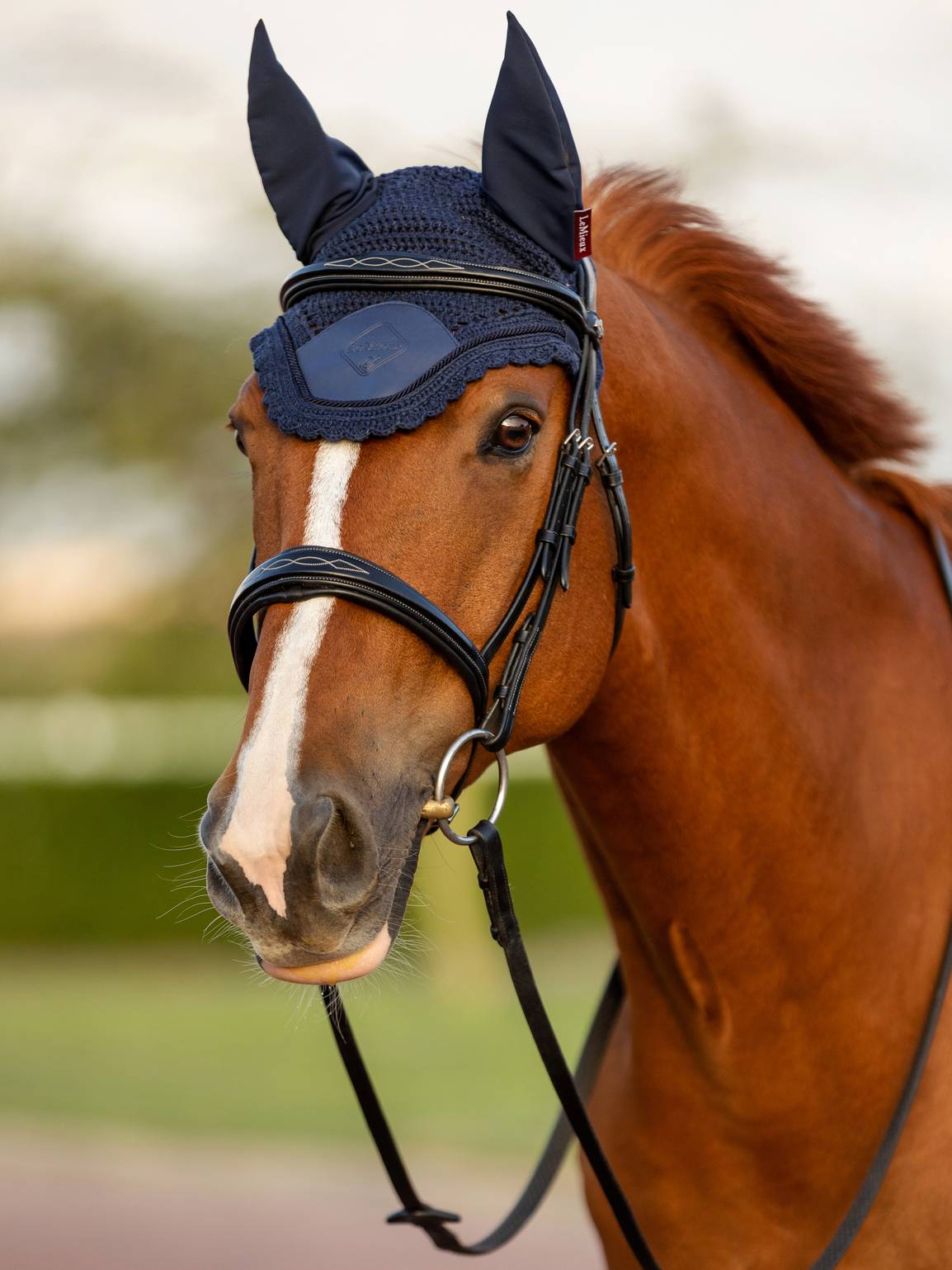 LeMieux Fliegenhaube Elite Fly Hood Navy L