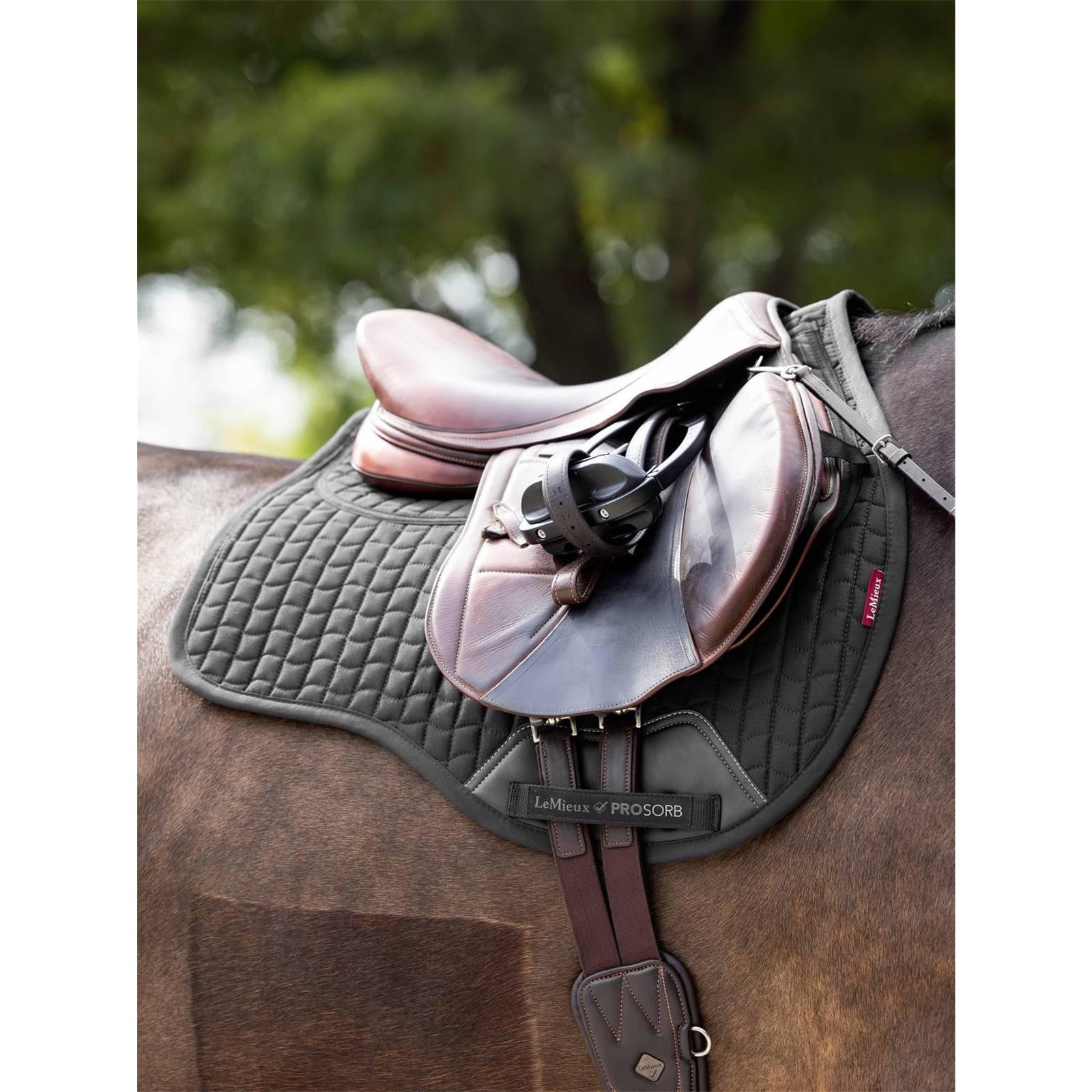 LeMieux ProSorb Plain 2 Pocket GP Black L