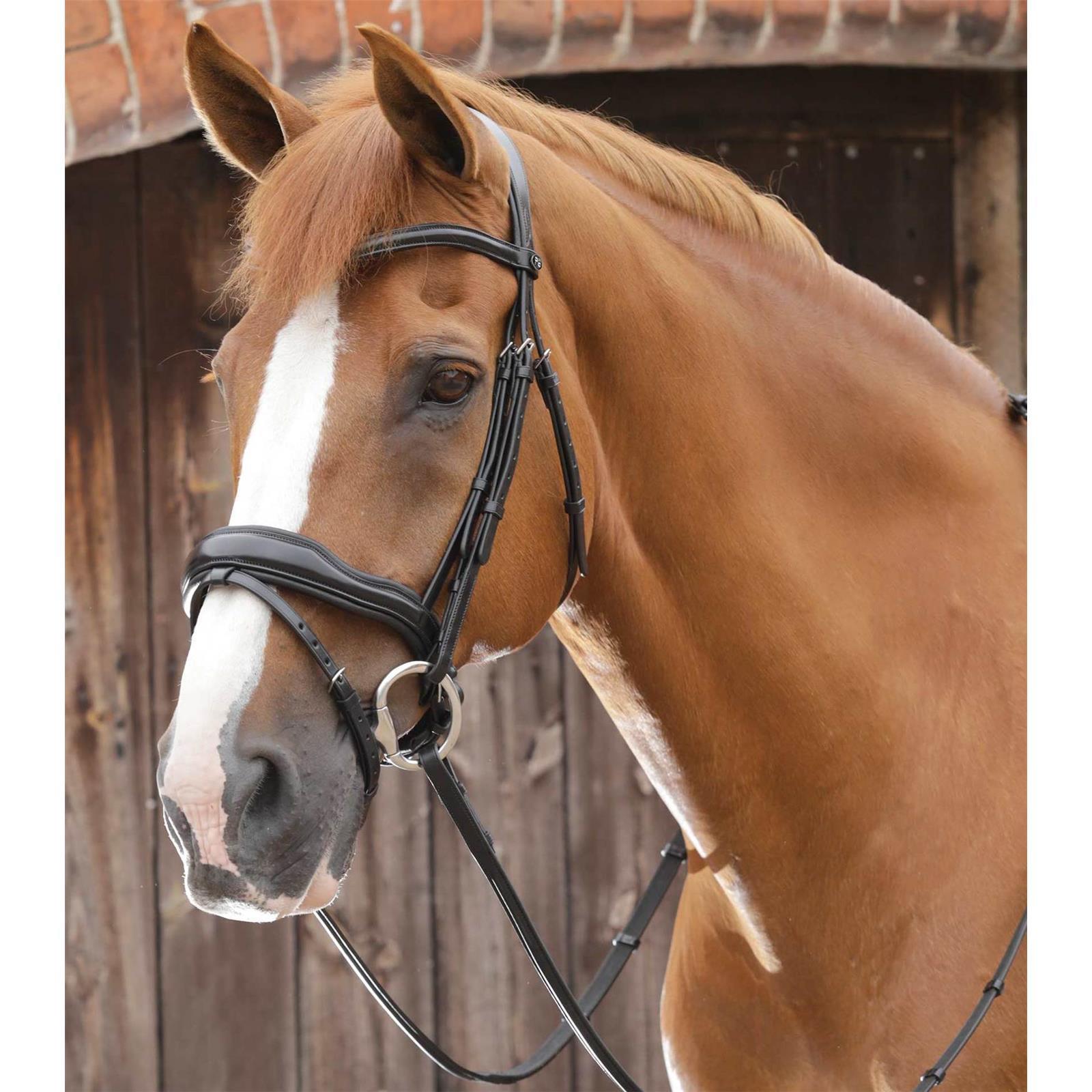 Premier Equine anatomische Trense Favoloso mit schwedischem Reithalfter Full black