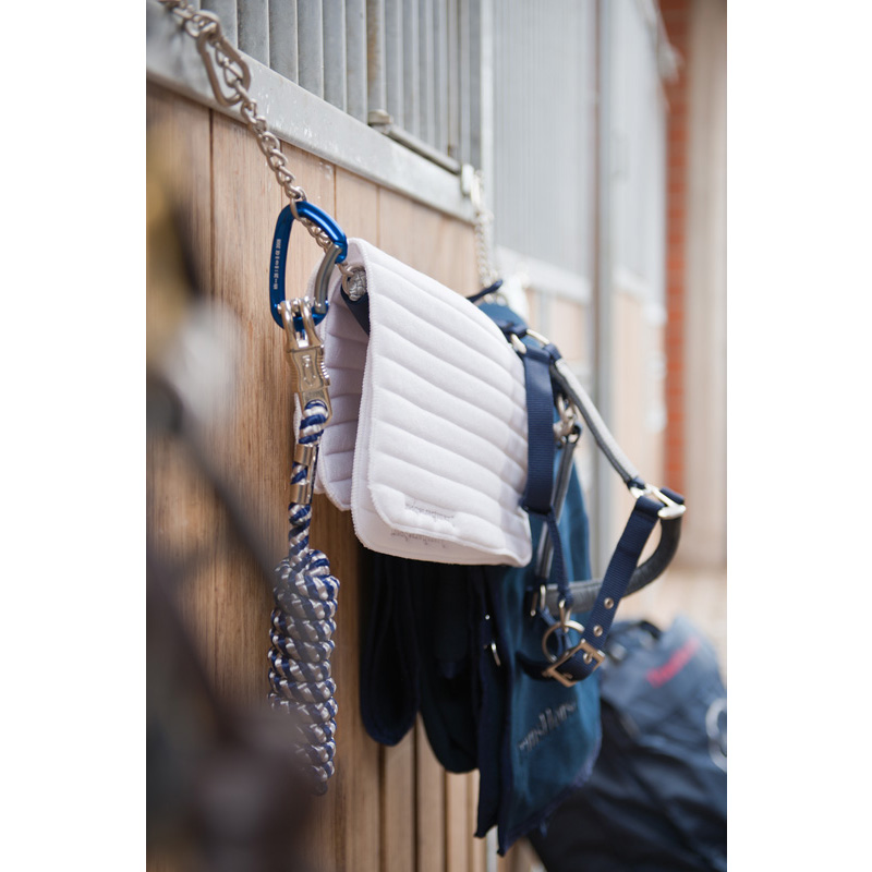 TransHorse Sport Aluminium Karabiner ice crystal