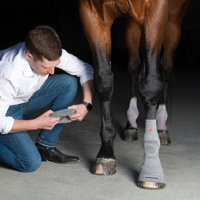 Incrediwear Equine Hoof Socks Black