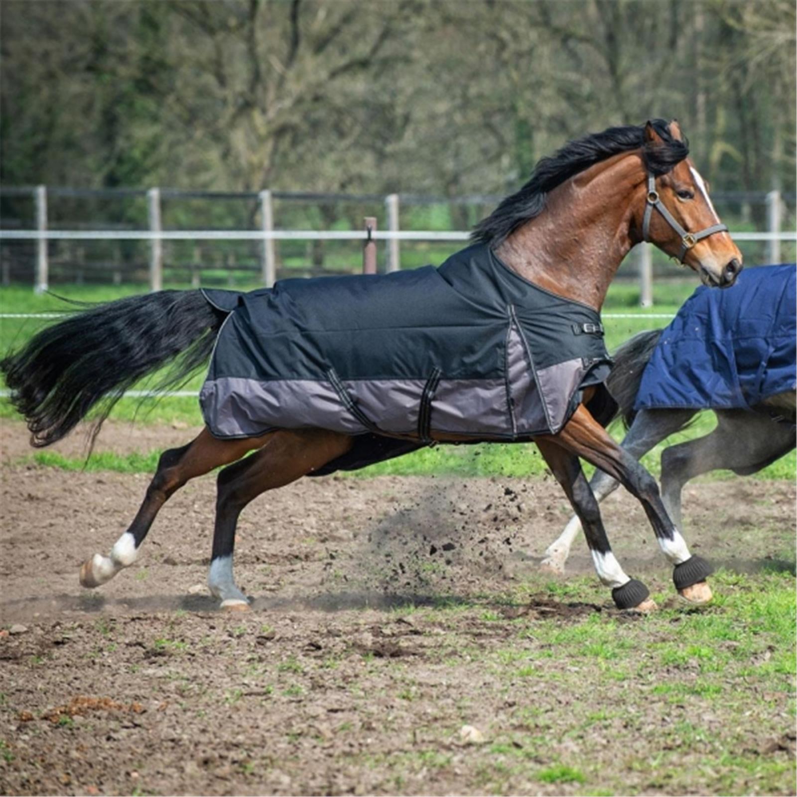 EQuest by Hölscher Outdoordecke Halifax navy Fleecefutter XXL 165 cm