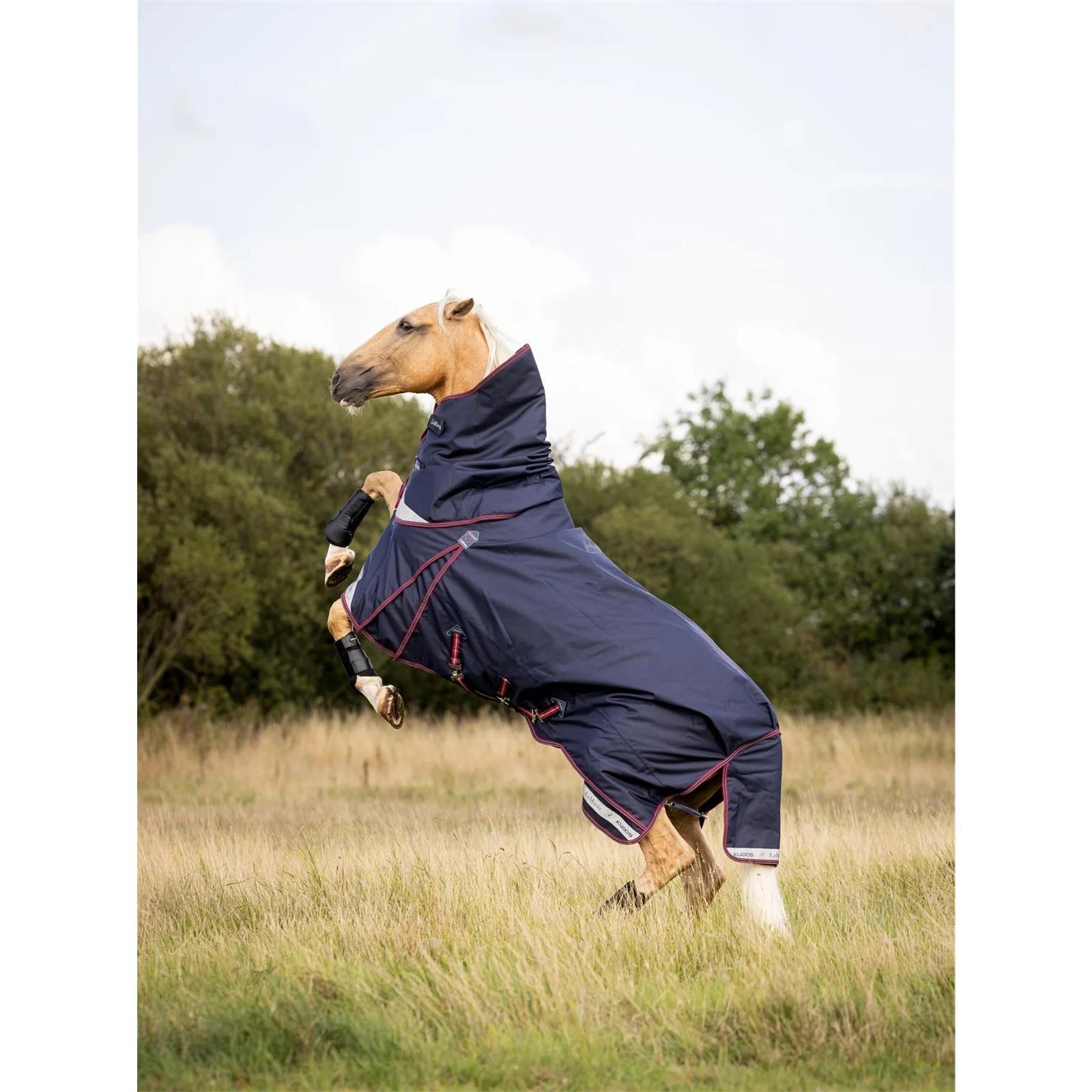 LeMieux Kudos Turnout Rug 50g Navy 7,0" 165 cm