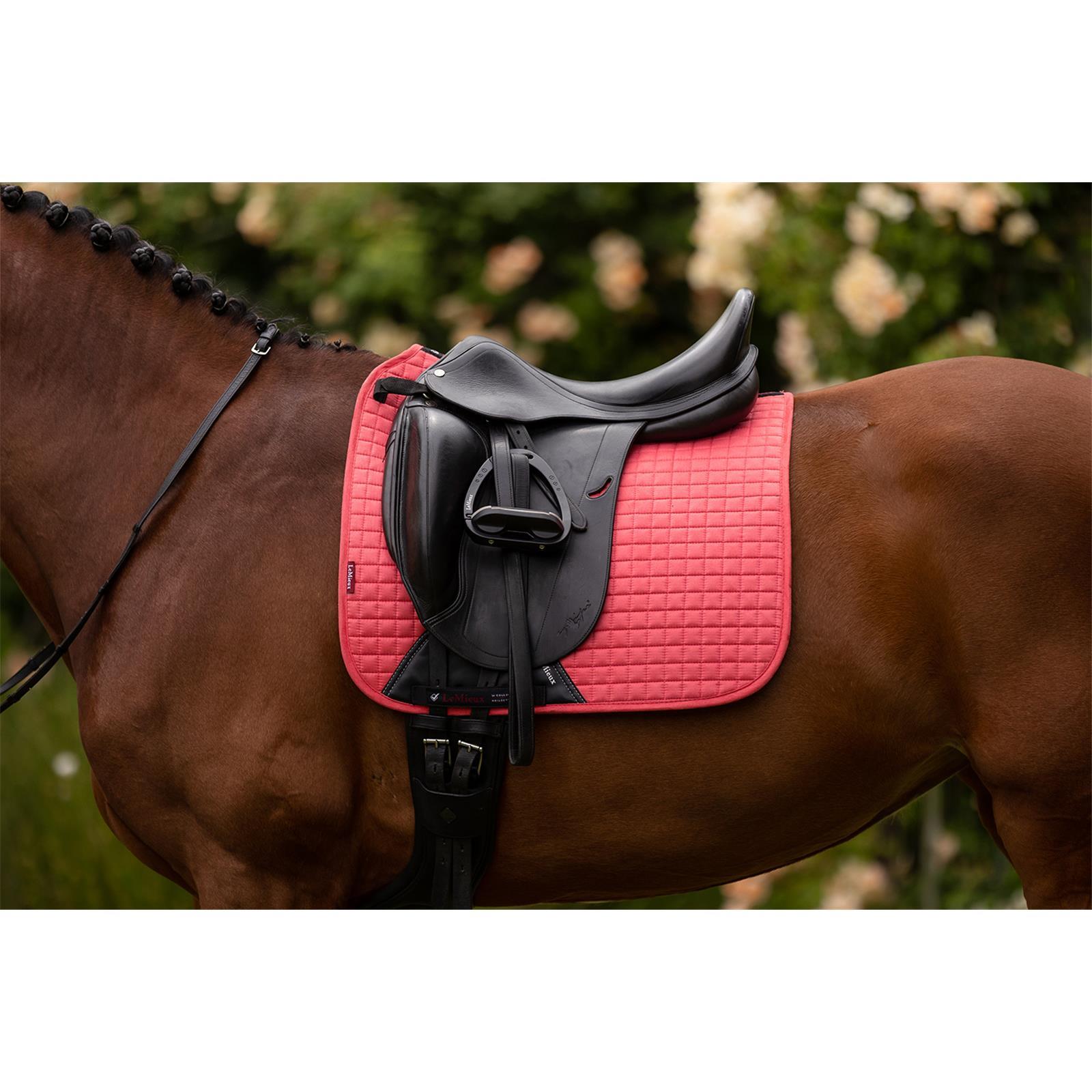 LeMieux Suede Dressage Square Schabracke Papaya S/M