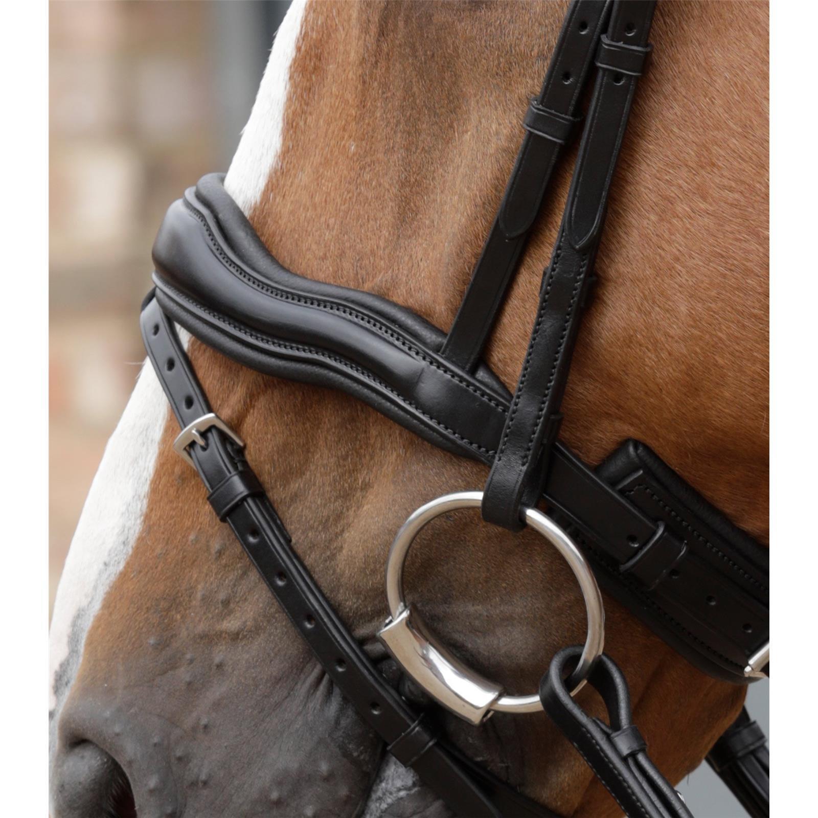 Premier Equine anatomische Trense Stellazio mit englischem Reithalfter Full black