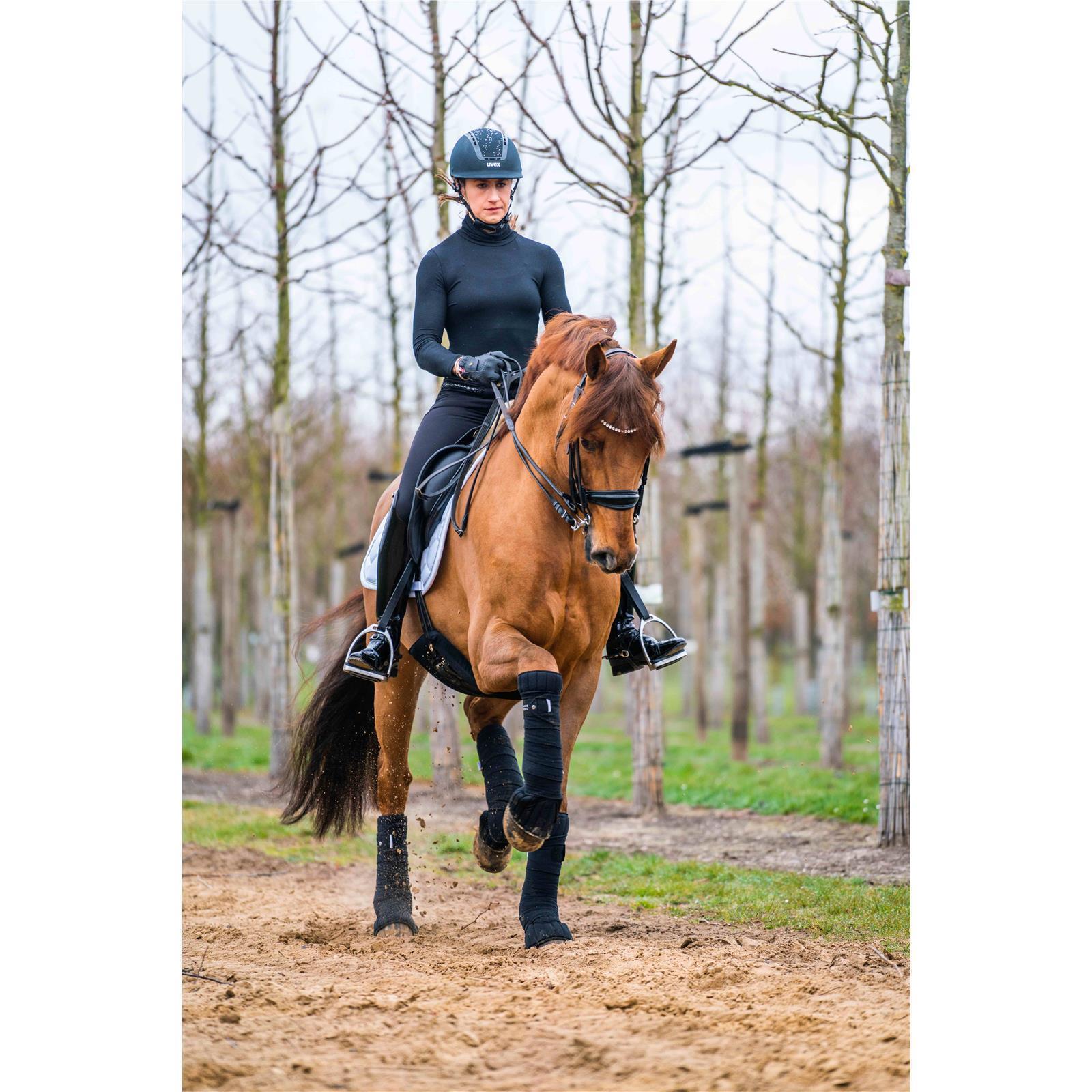 TransHorse Sport Gurtschoner Classic velvet black 70 cm