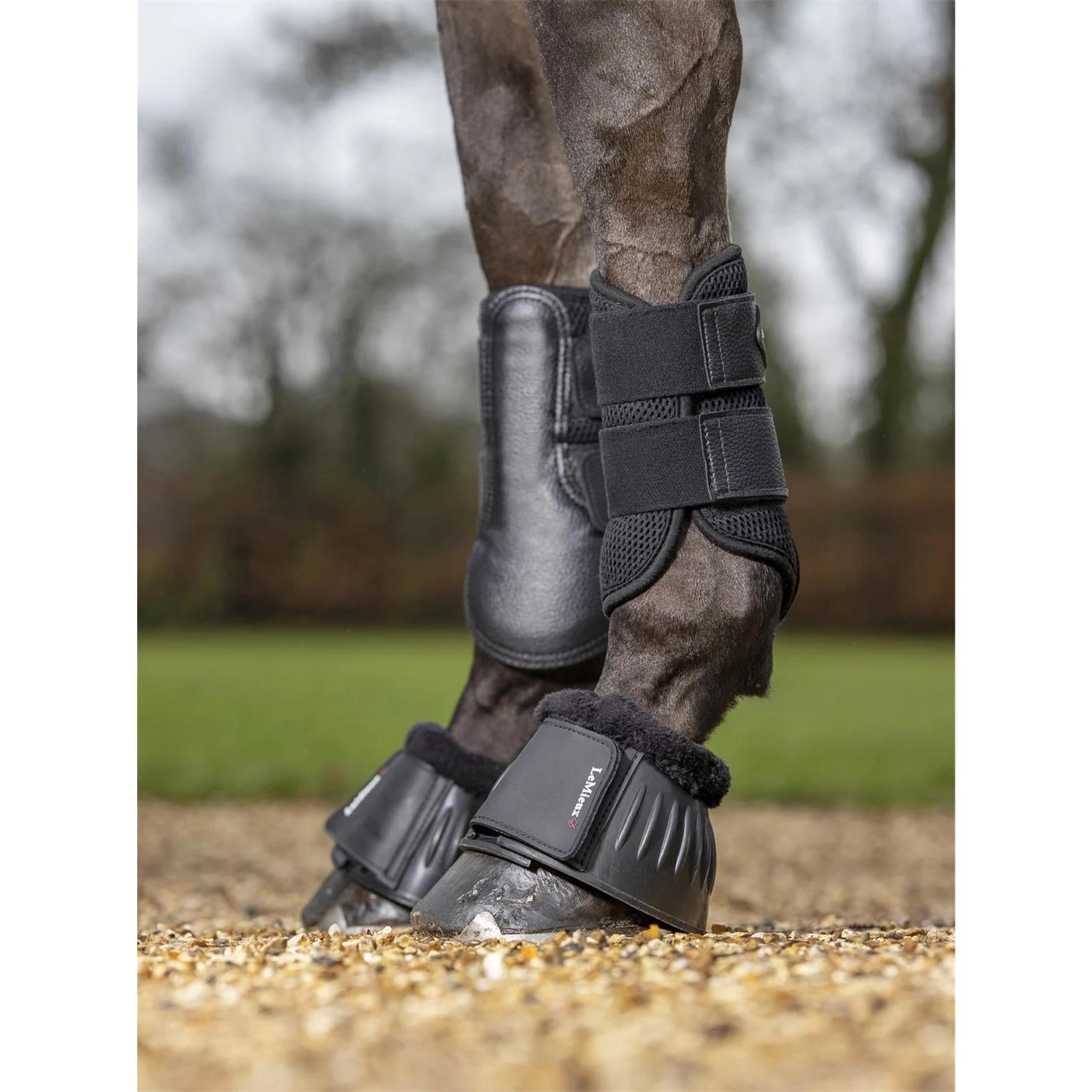 LeMieux Mesh Brushing Boots Gamaschen black XL