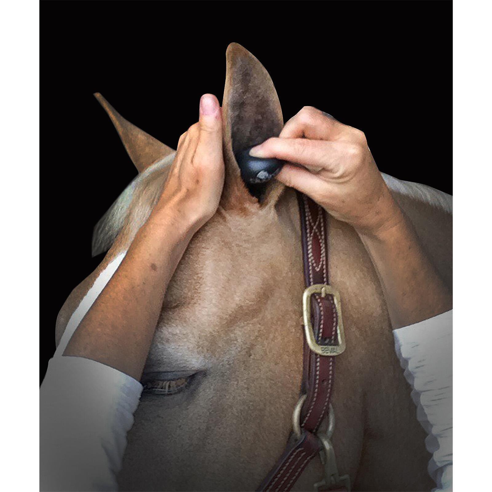 Plughz Equine Ear Plugs Stable Pack Premium Ohrstöpsel für Pferde Warmblut XL