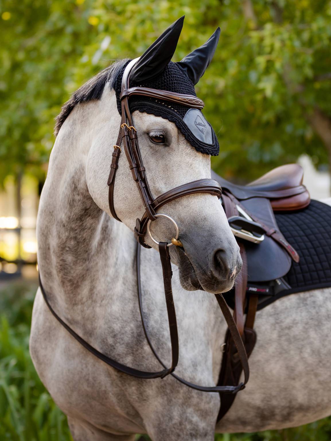 LeMieux Fliegenhaube Elite Fly Hood Black M
