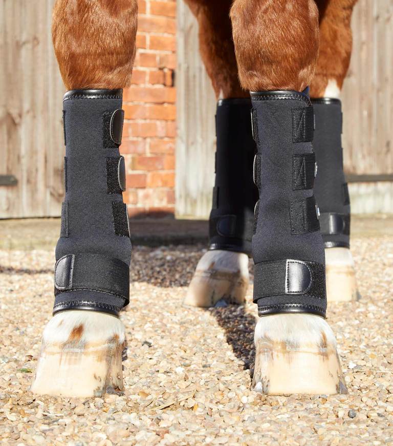 Premier Equine Turnout Boots Outdoor- und Paddock Gamasche XL Black