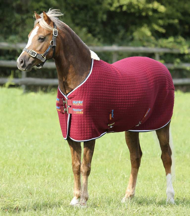 Premier Equine PremTex Pony Cooler Rug 4'9'' 110cm burgundy