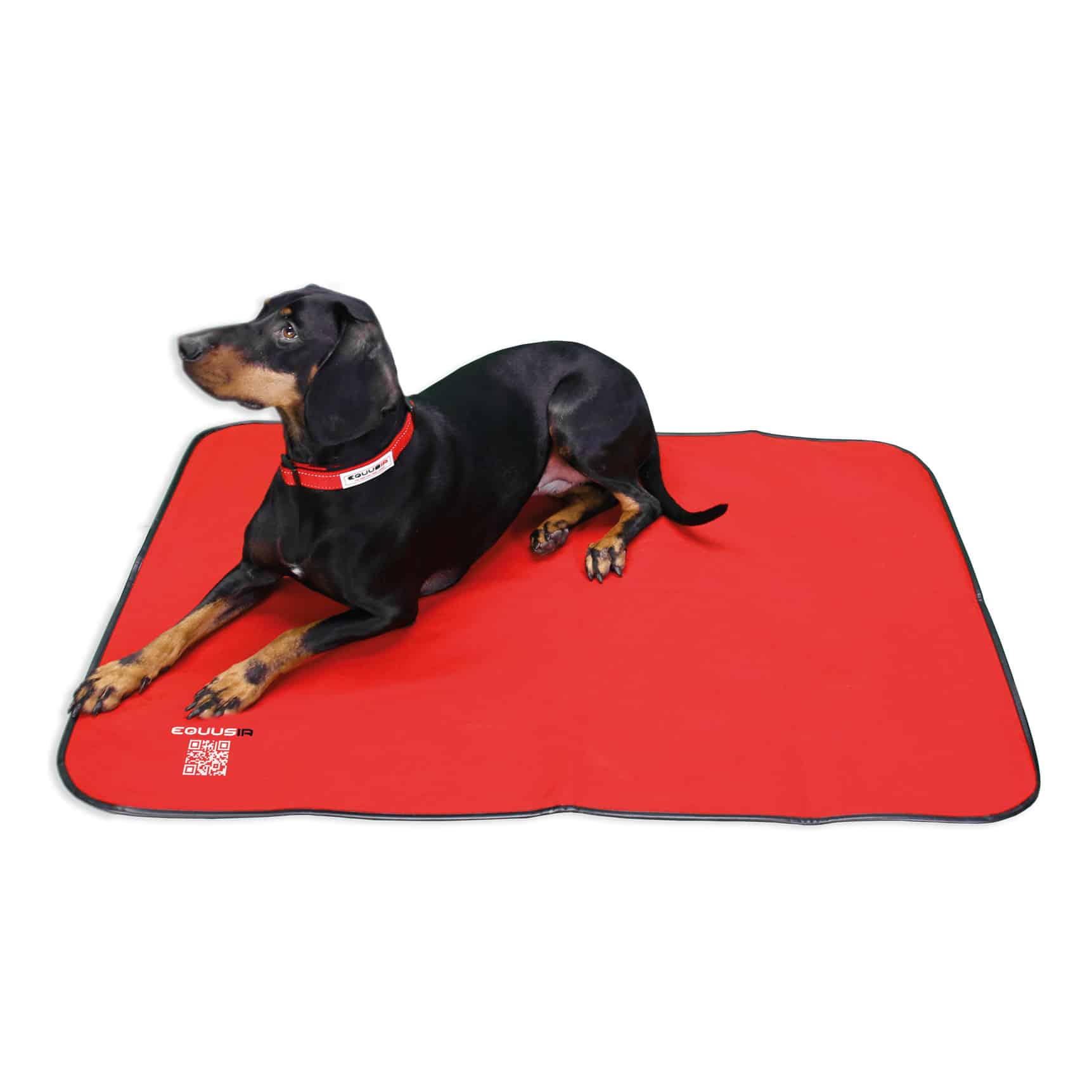 EQUUSIR BIOS Hundedecke Magnetfelddecke für deinen Hund L - 108 x 80 cm