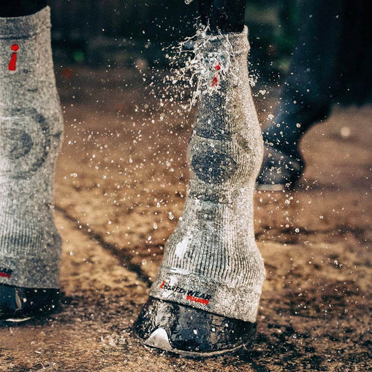 Incrediwear Equine Hoof Socks Black