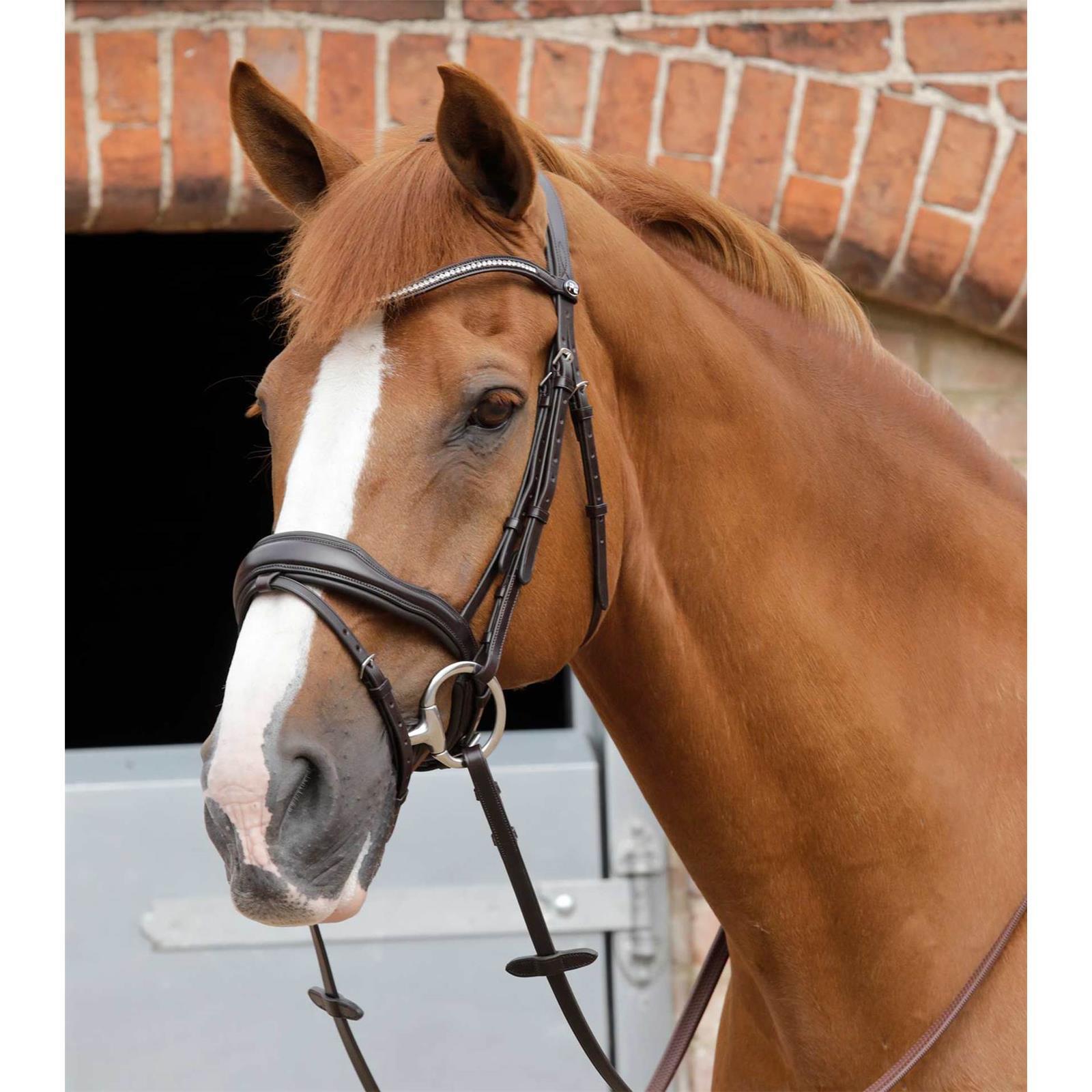 Premier Equine anatomische Trense Stellazio mit englischem Reithalfter Full black