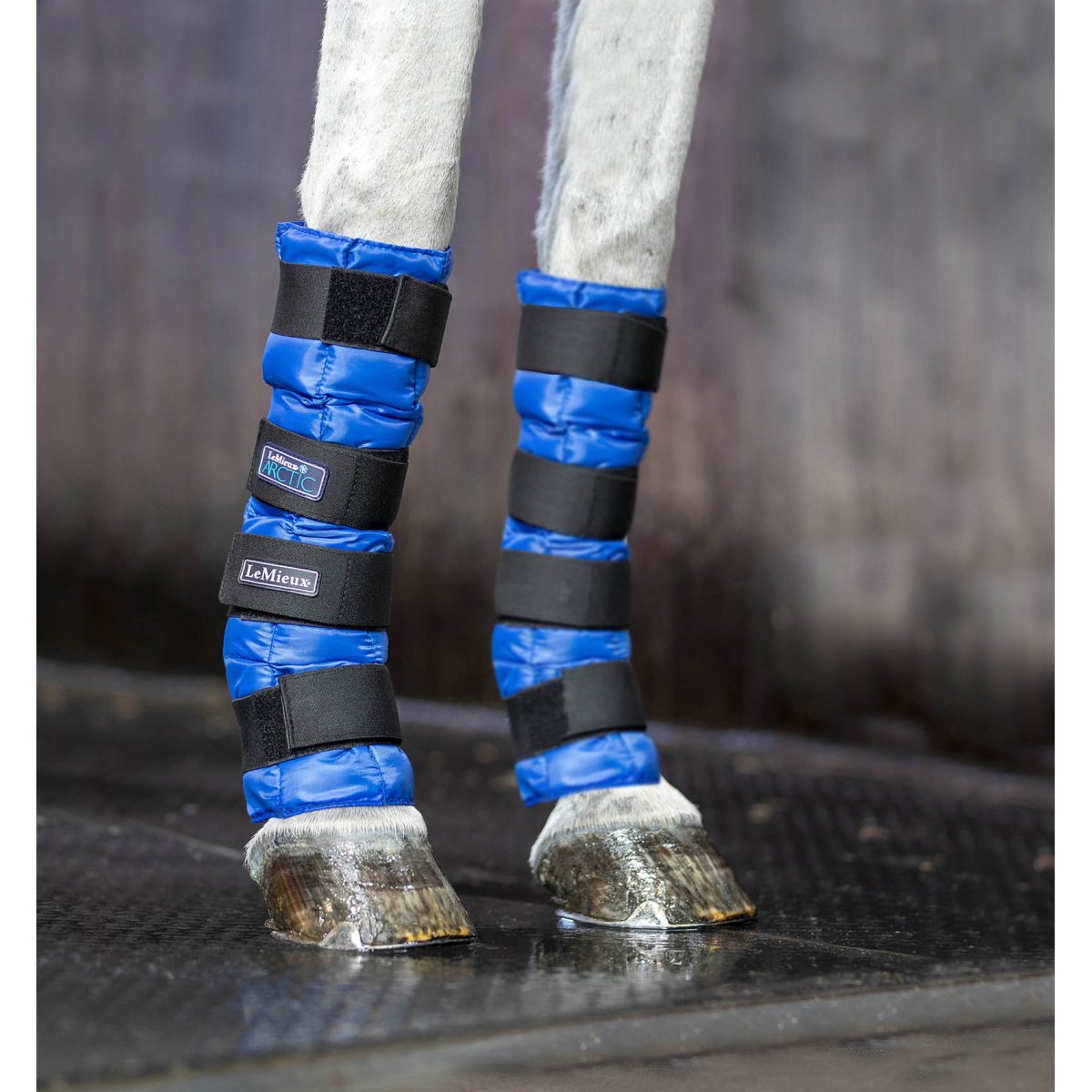 LeMieux Arctic Ice Boots Kühlgamaschen Blue