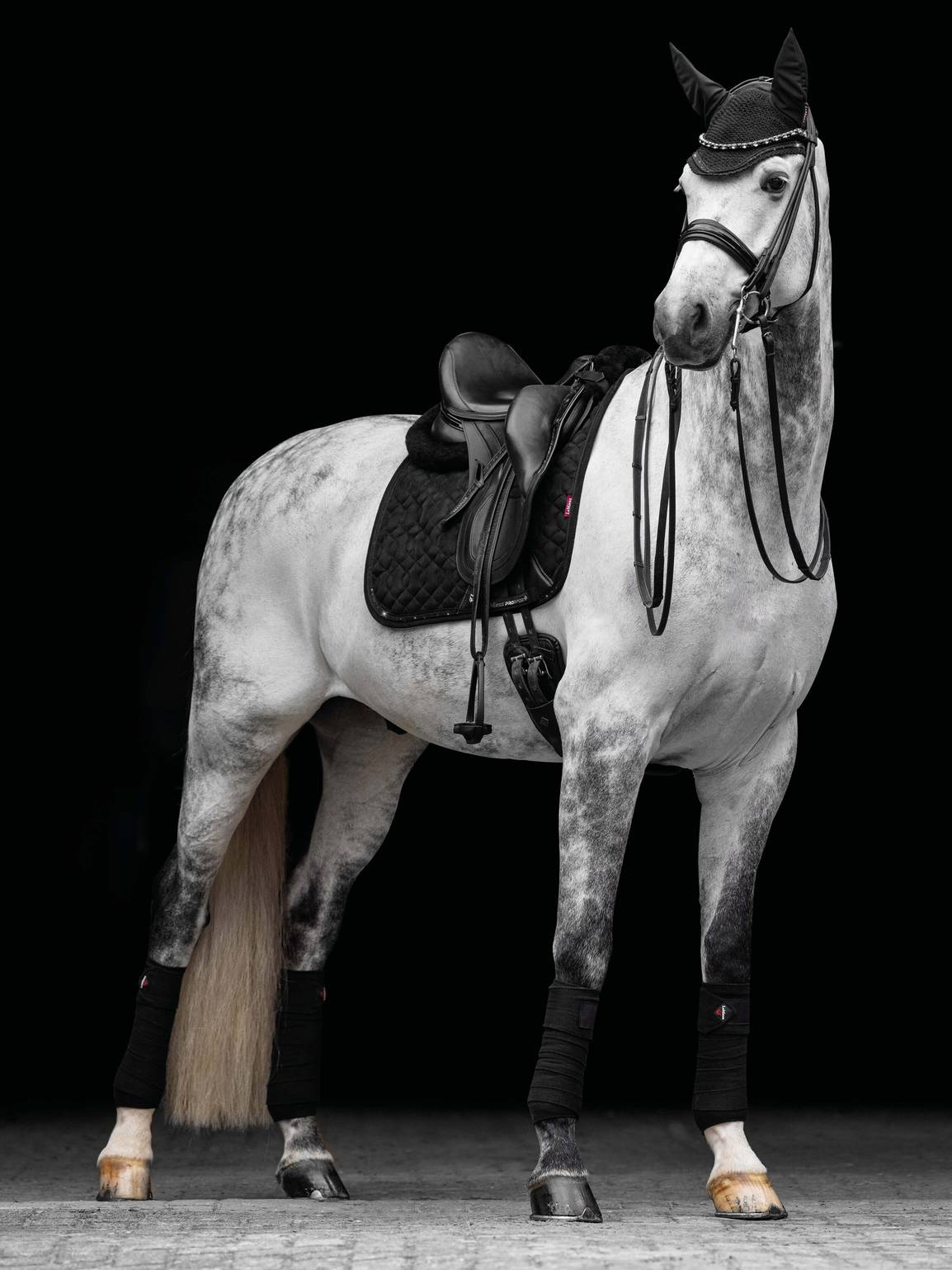 LeMieux Crystal Suede Dressage Square Schabracke Black L
