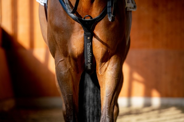 TransHorse Sport Martingalschoner + Klett black coffee (braun)