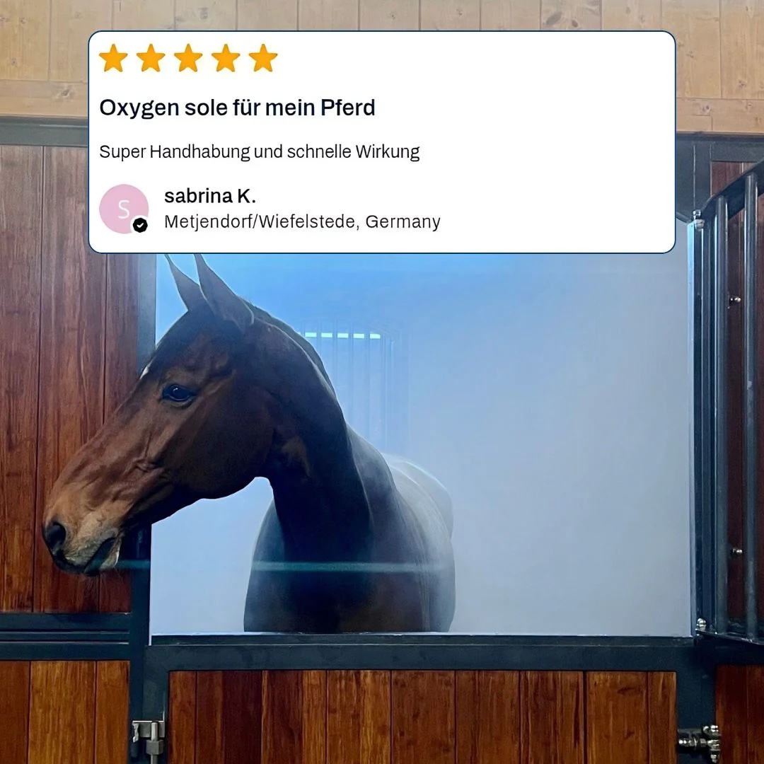 OxygenConcept Tote-Meer-Sole 2,5% Gebindegröße 1 liter