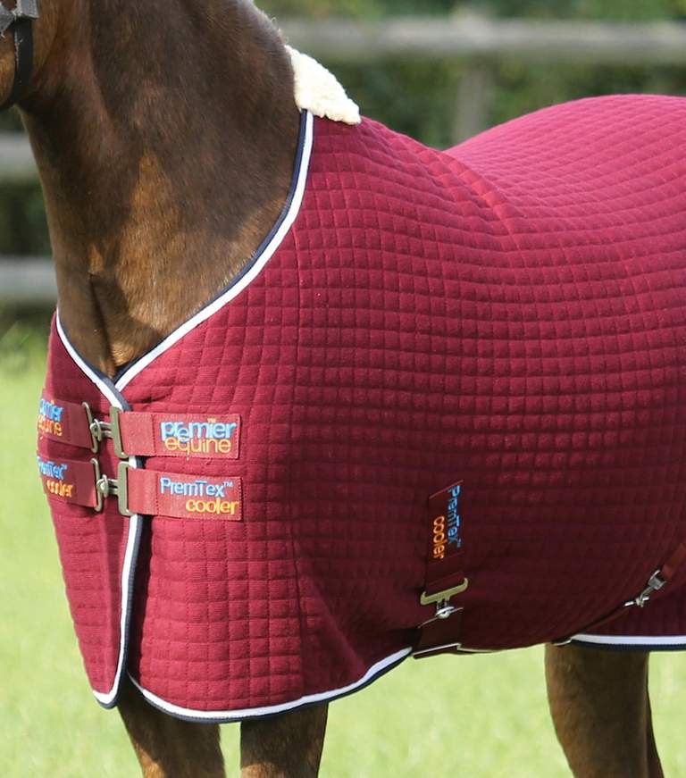 Premier Equine PremTex Pony Cooler Rug 4'9'' 110cm burgundy