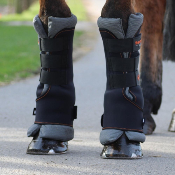 Equest by Hölscher Thermo Boots 2er Set black L