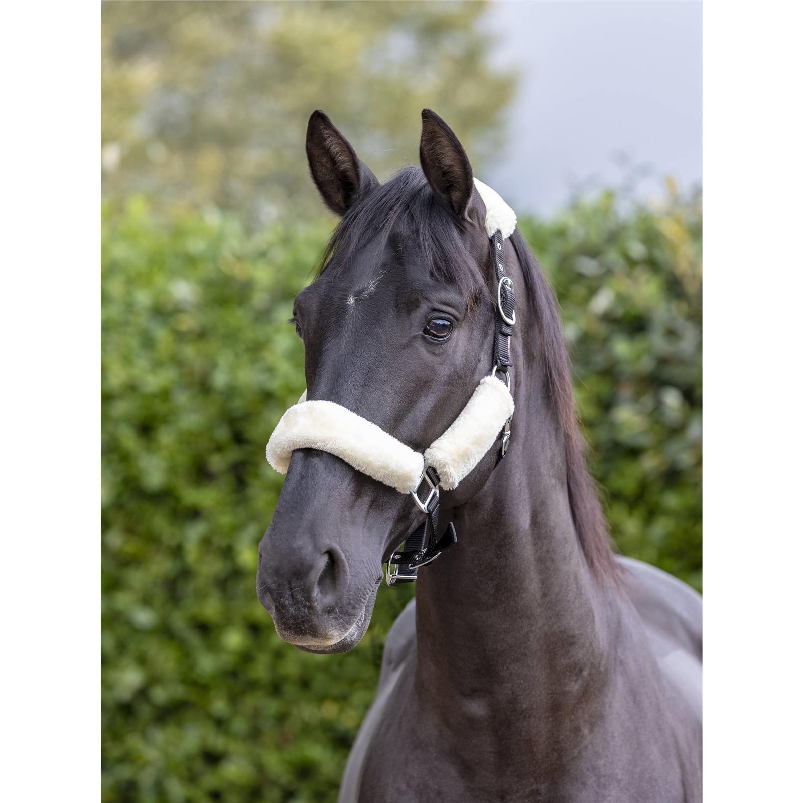 LeMieux Halfter Comfort Fleece Headcollar Black/Natural Full