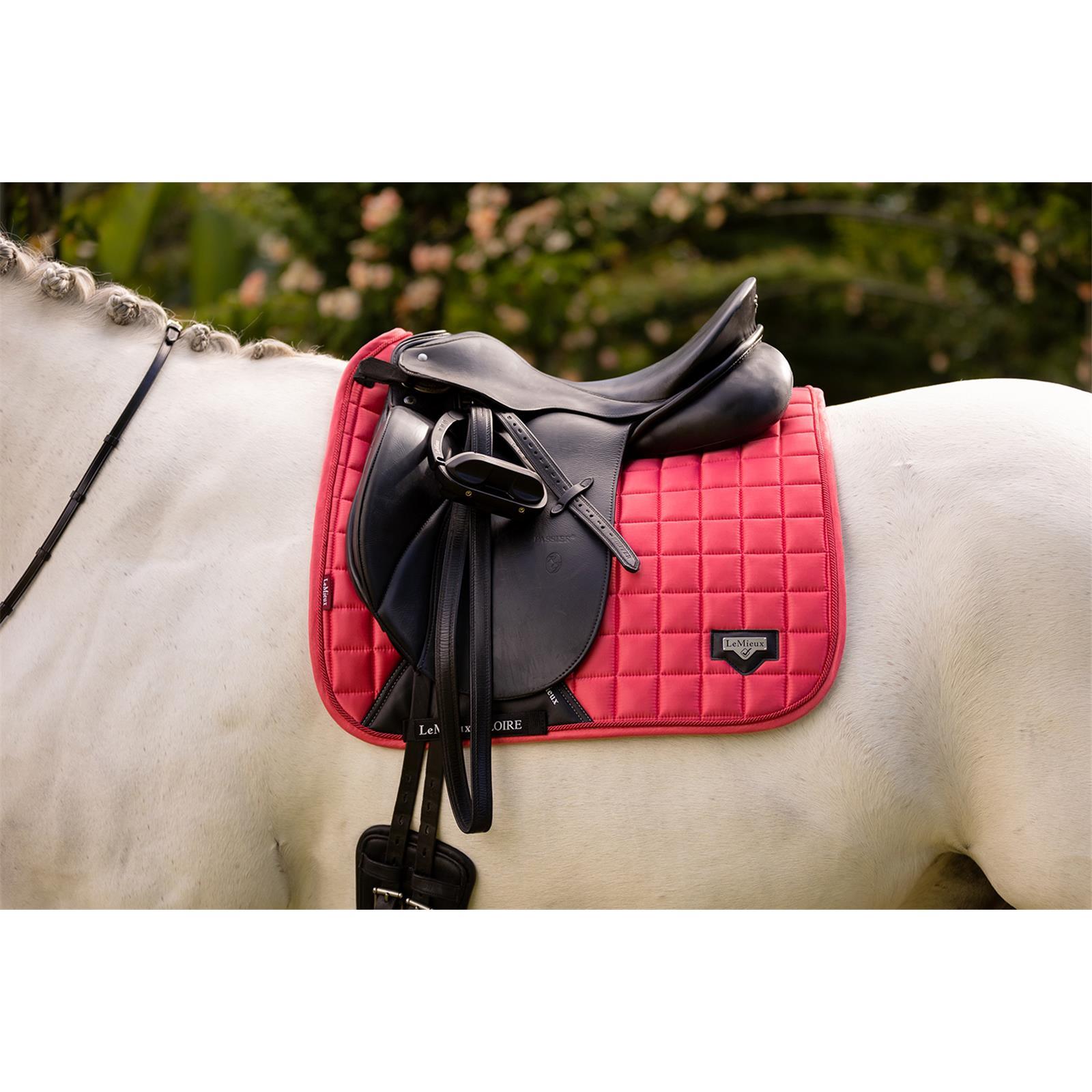 LeMieux Loire Classic Dressage Square Papaya S/M