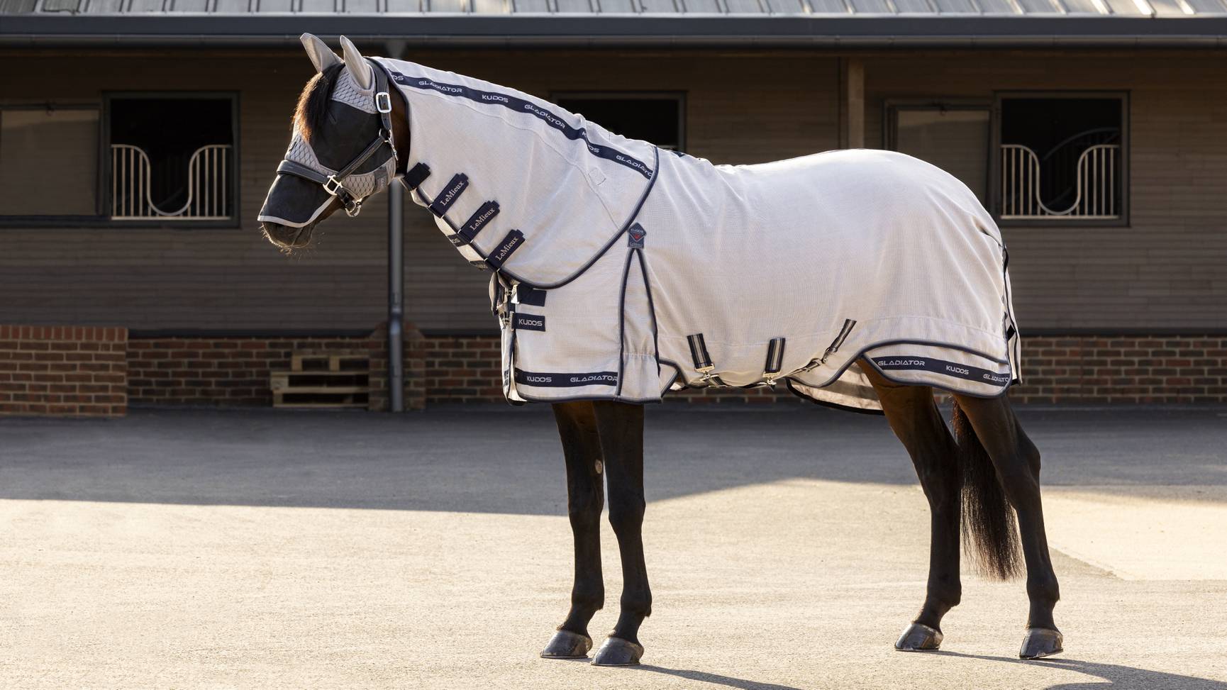 LeMieux Kudos Gladiator Fly Rug Fliegendecke 7,0" - 165 cm