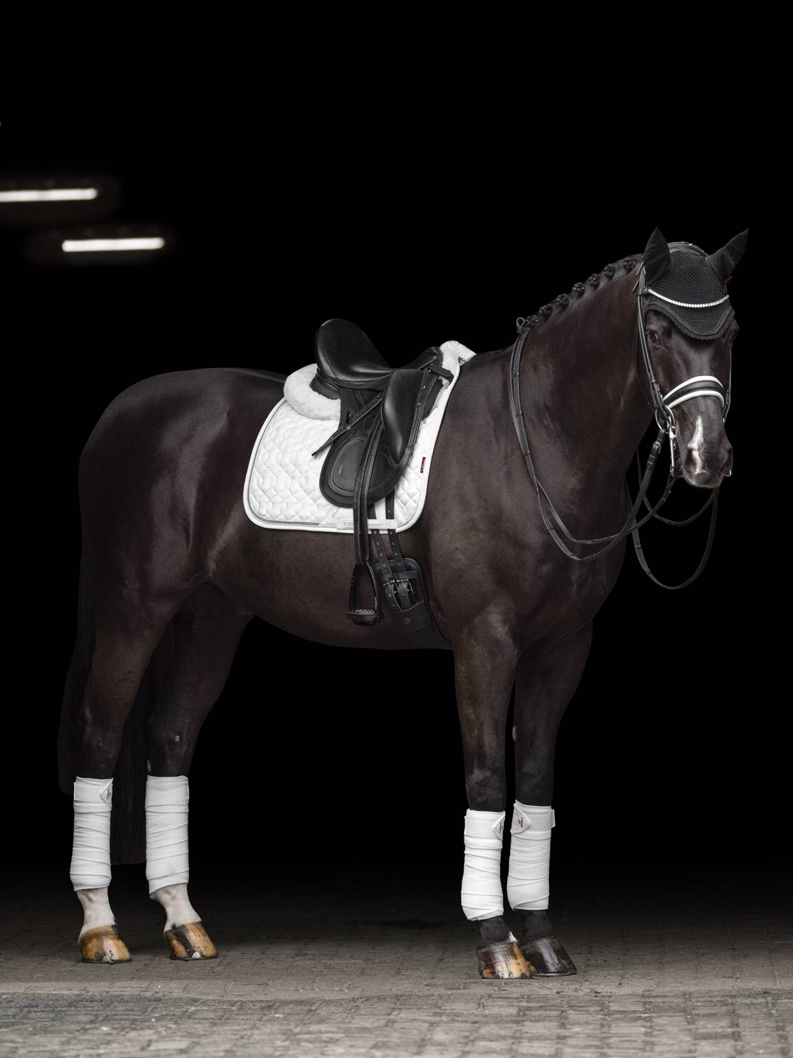 LeMieux Crystal Suede Dressage Square Schabracke White L