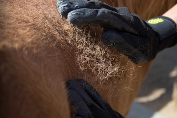 HandsOn Gloves Putzhandschuh S